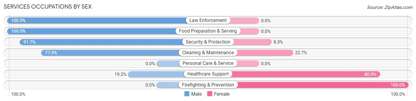 Services Occupations by Sex in Zip Code 63663