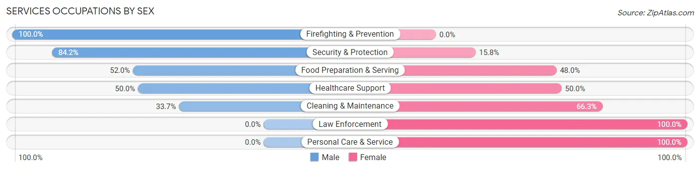 Services Occupations by Sex in Zip Code 63764