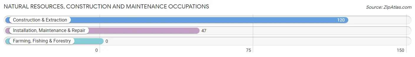 Natural Resources, Construction and Maintenance Occupations in Zip Code 63781