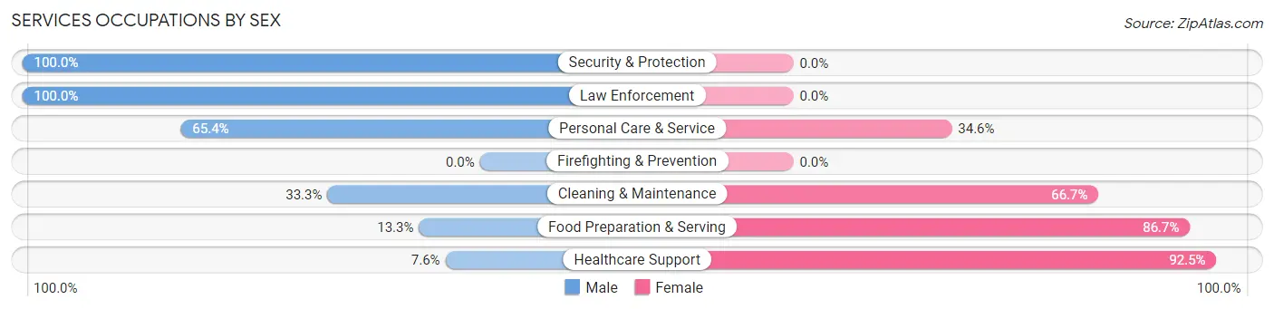Services Occupations by Sex in Zip Code 63822