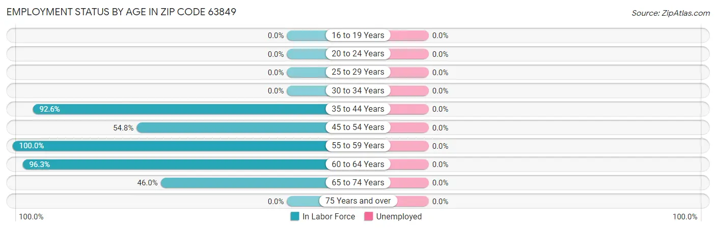 Employment Status by Age in Zip Code 63849