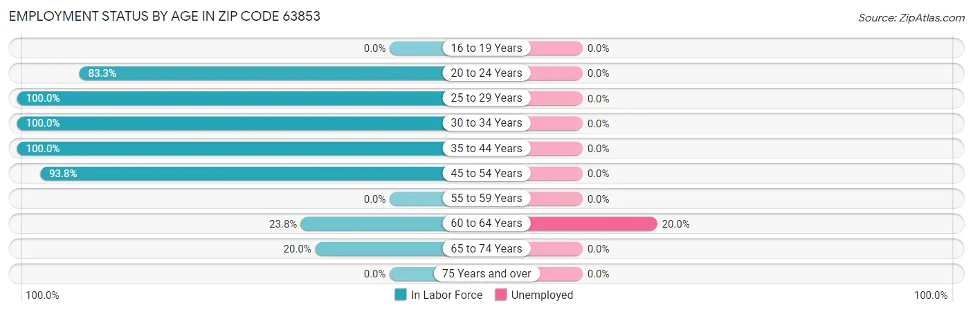 Employment Status by Age in Zip Code 63853