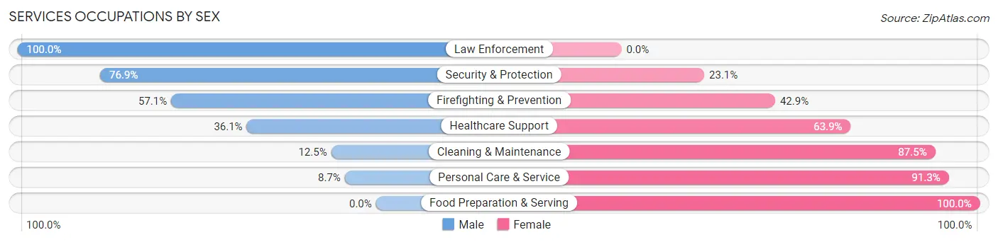 Services Occupations by Sex in Zip Code 63876