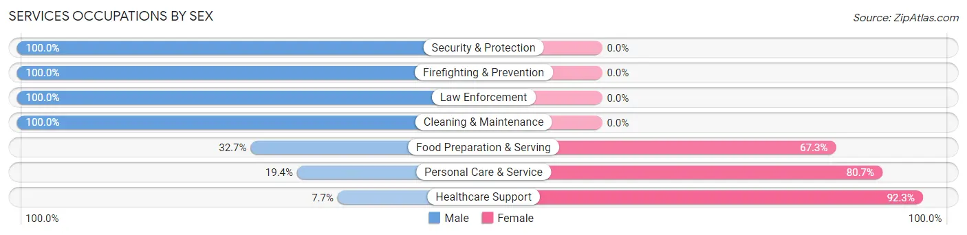 Services Occupations by Sex in Zip Code 63933