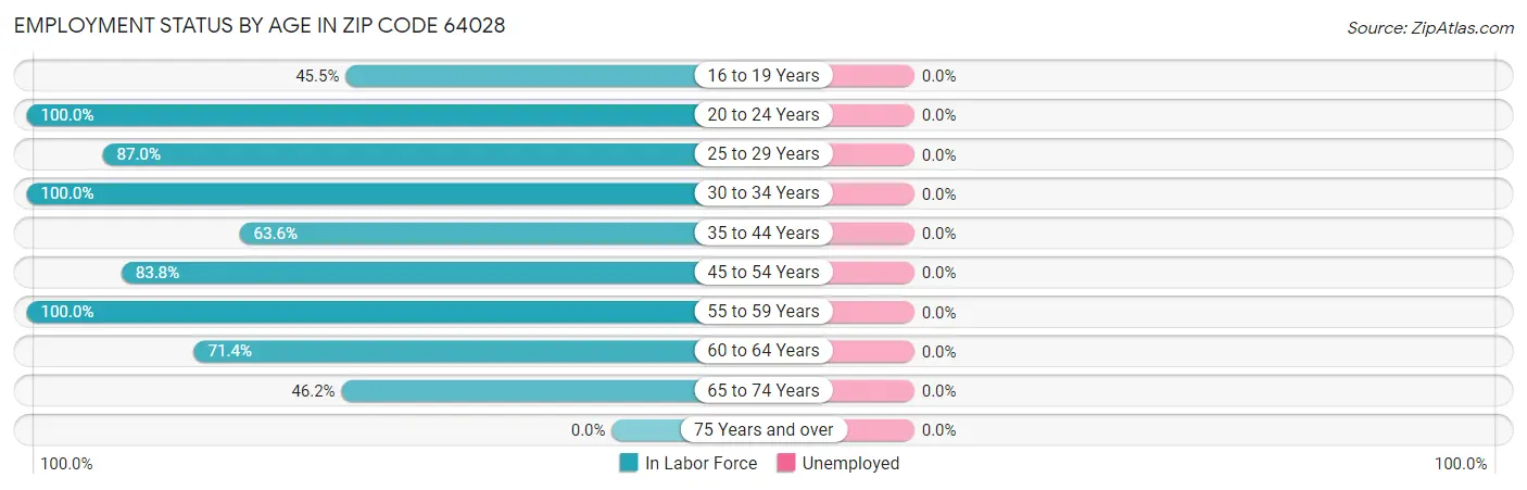 Employment Status by Age in Zip Code 64028