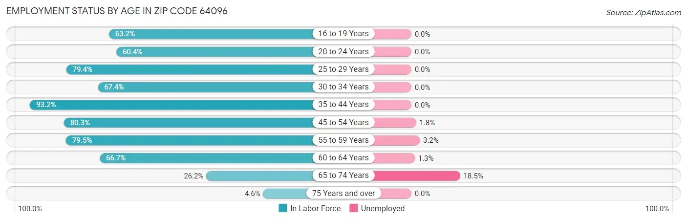 Employment Status by Age in Zip Code 64096