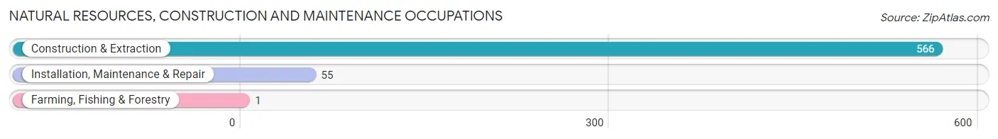 Natural Resources, Construction and Maintenance Occupations in Zip Code 64128