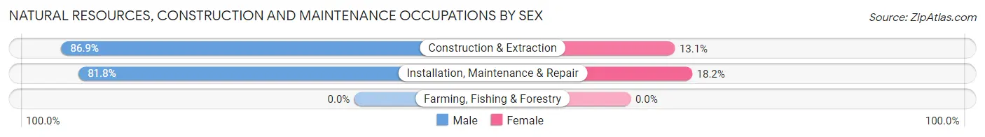 Natural Resources, Construction and Maintenance Occupations by Sex in Zip Code 64131