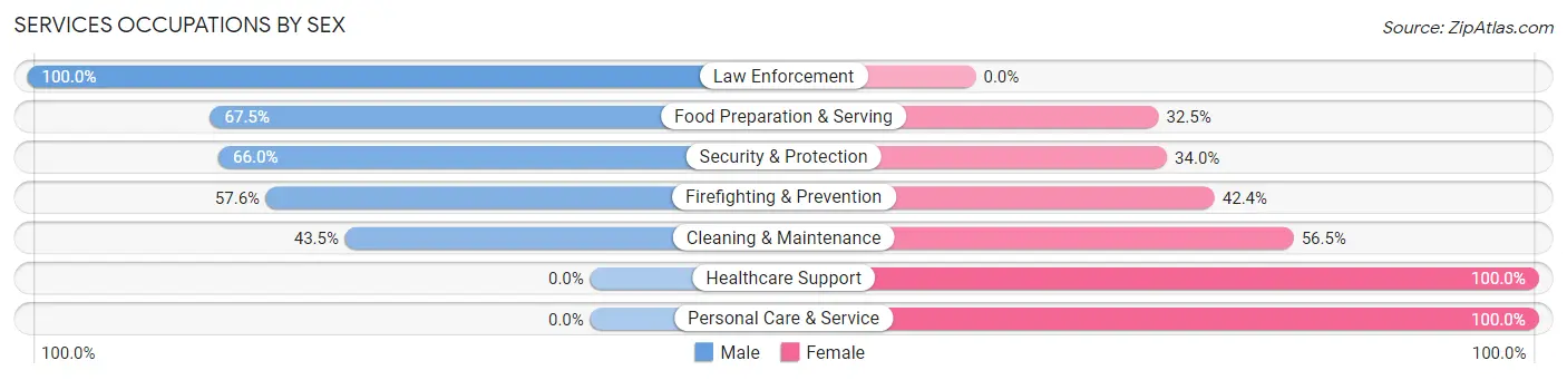 Services Occupations by Sex in Zip Code 64158