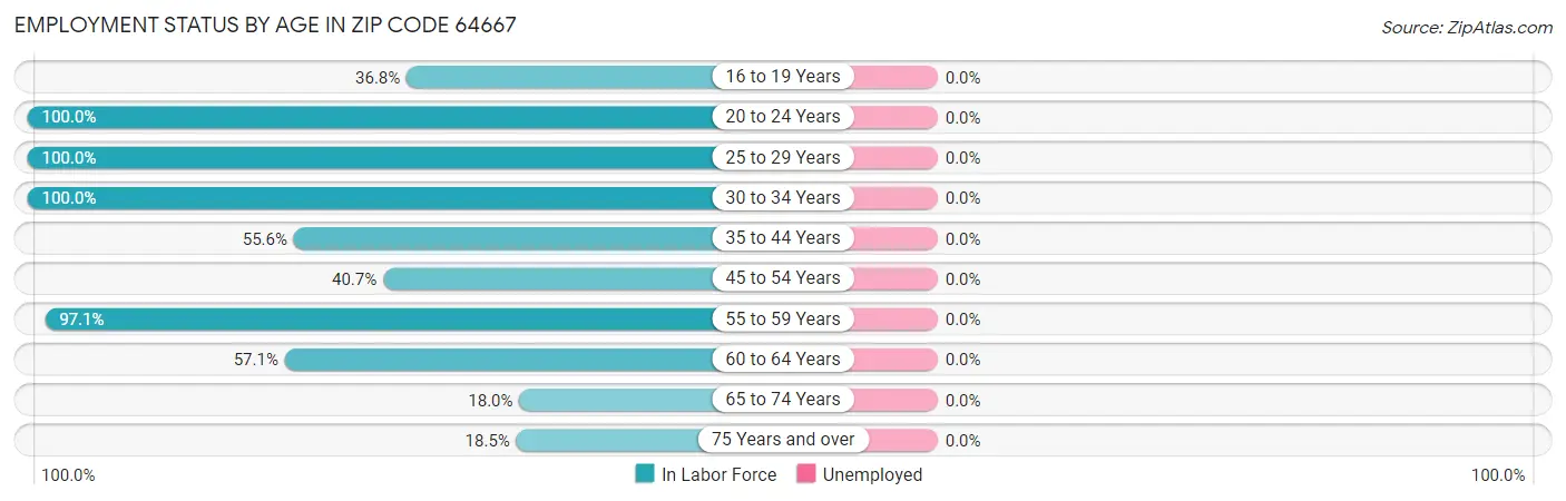 Employment Status by Age in Zip Code 64667
