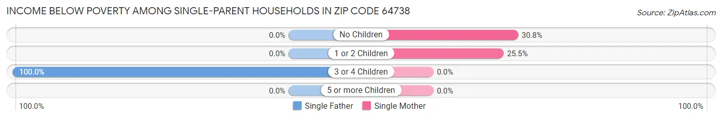 Income Below Poverty Among Single-Parent Households in Zip Code 64738