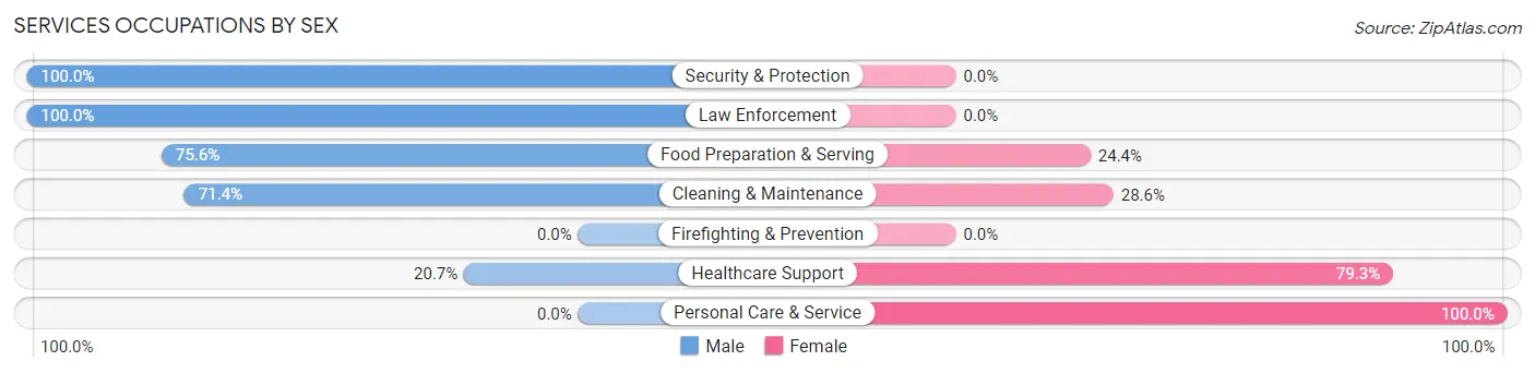 Services Occupations by Sex in Zip Code 64740