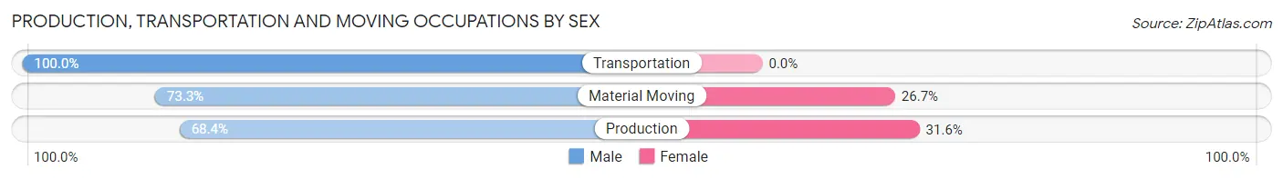 Production, Transportation and Moving Occupations by Sex in Zip Code 64859