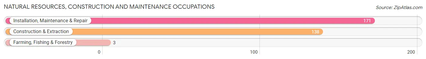 Natural Resources, Construction and Maintenance Occupations in Zip Code 64865