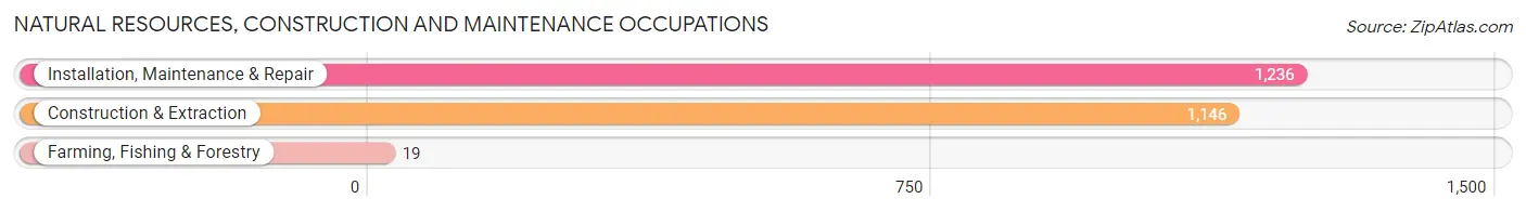 Natural Resources, Construction and Maintenance Occupations in Zip Code 65202