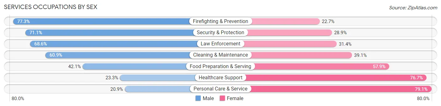 Services Occupations by Sex in Zip Code 65203