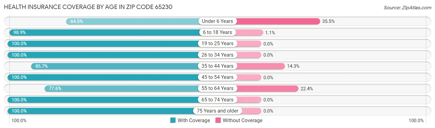 Health Insurance Coverage by Age in Zip Code 65230