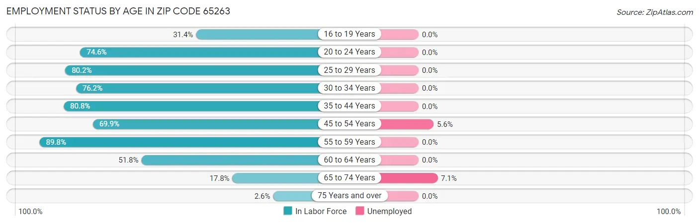Employment Status by Age in Zip Code 65263