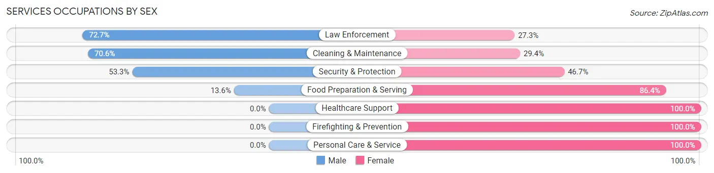Services Occupations by Sex in Zip Code 65263
