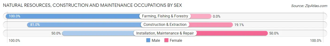 Natural Resources, Construction and Maintenance Occupations by Sex in Zip Code 65264