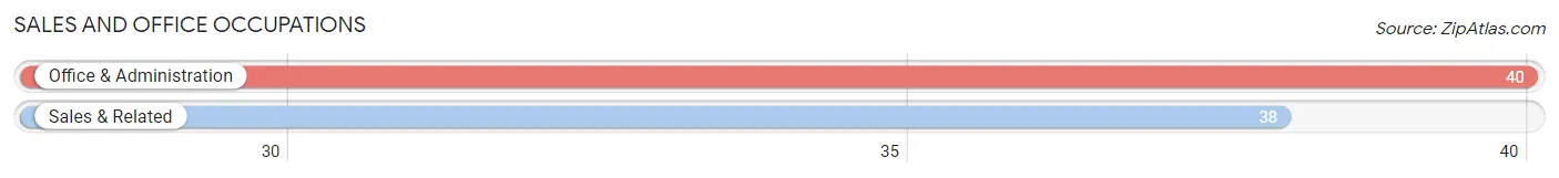 Sales and Office Occupations in Zip Code 65334