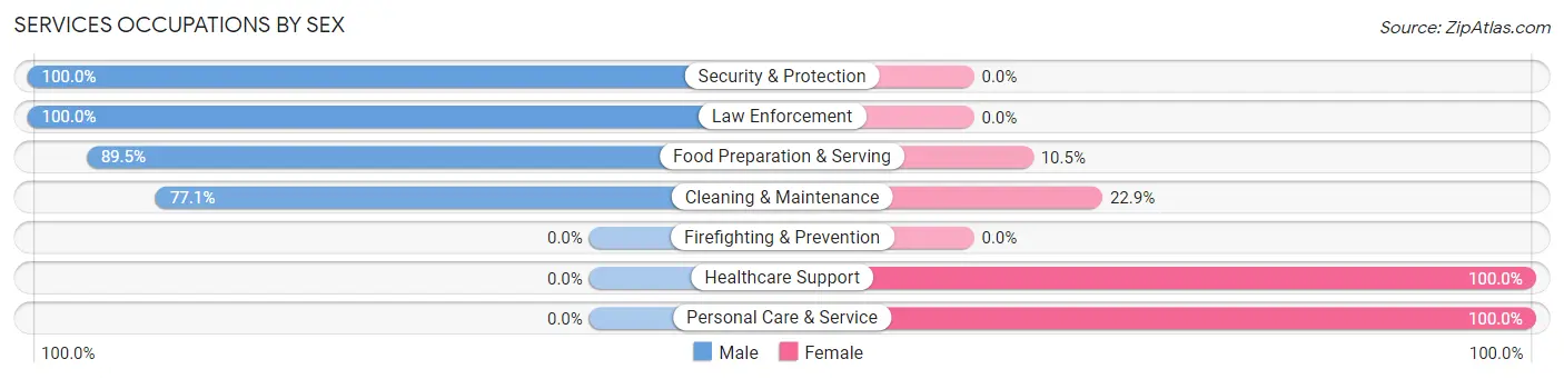 Services Occupations by Sex in Zip Code 65591