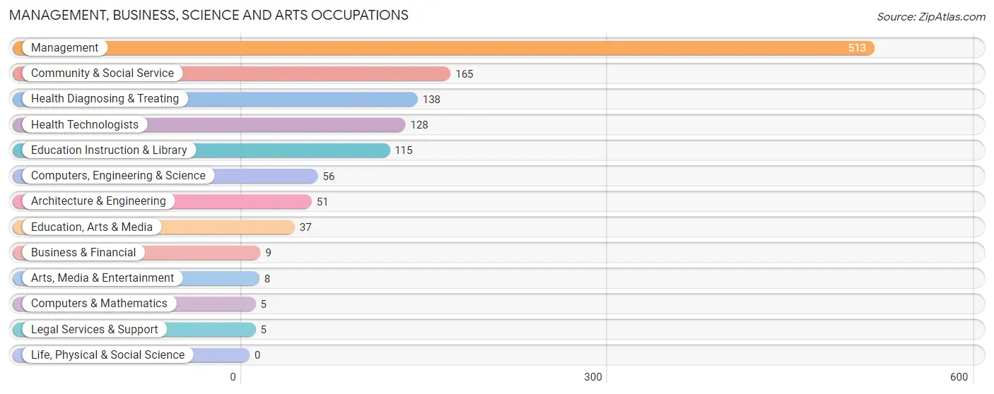 Management, Business, Science and Arts Occupations in Zip Code 65608