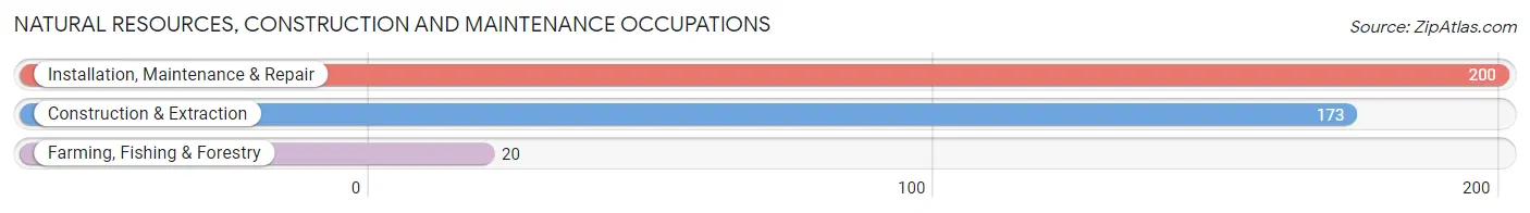 Natural Resources, Construction and Maintenance Occupations in Zip Code 65608