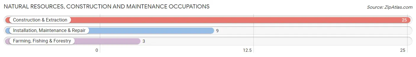 Natural Resources, Construction and Maintenance Occupations in Zip Code 65635