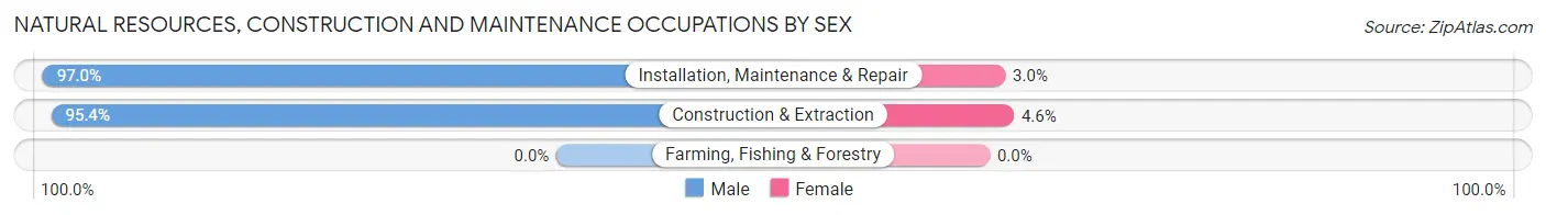 Natural Resources, Construction and Maintenance Occupations by Sex in Zip Code 65648