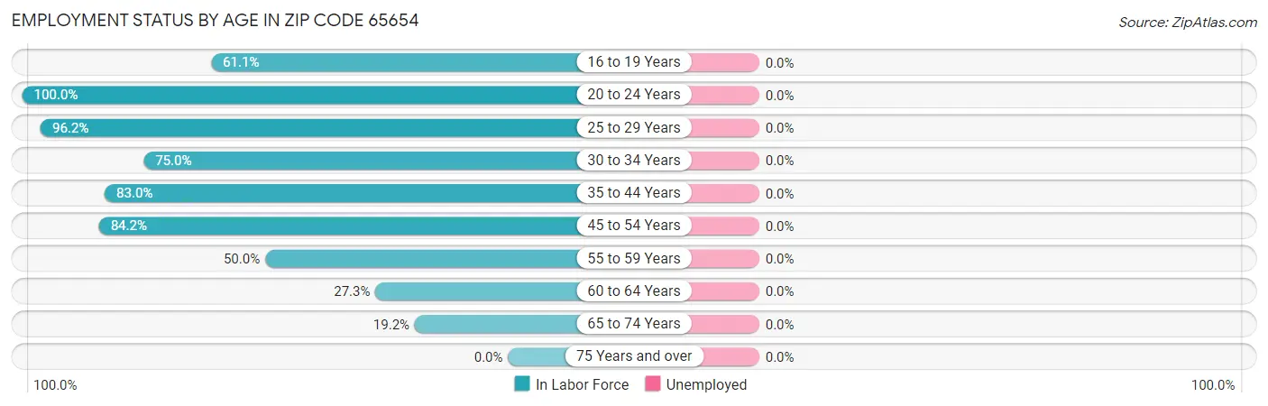 Employment Status by Age in Zip Code 65654