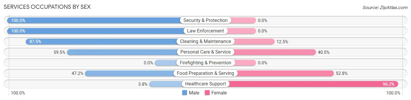 Services Occupations by Sex in Zip Code 65667