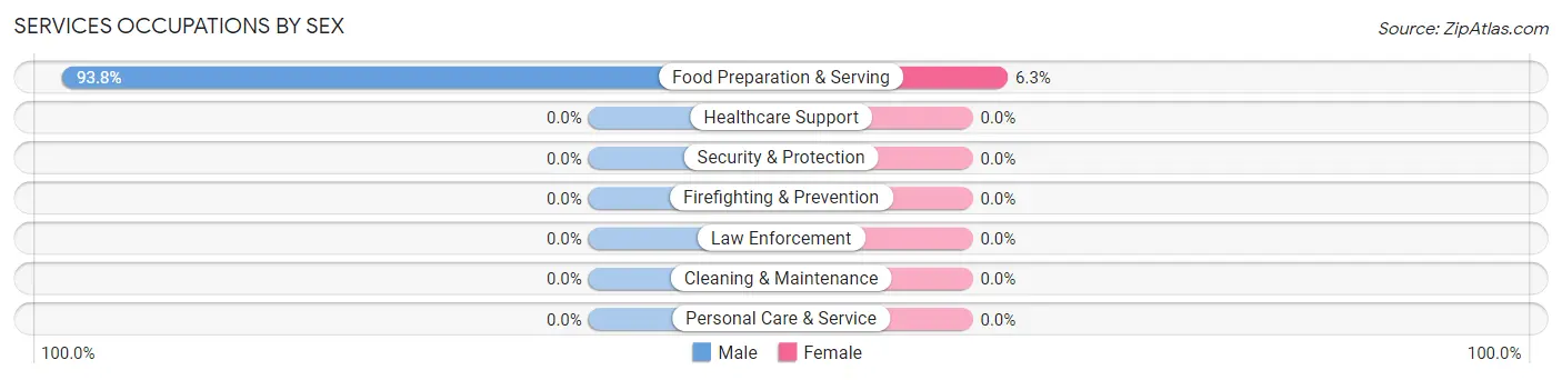Services Occupations by Sex in Zip Code 65702