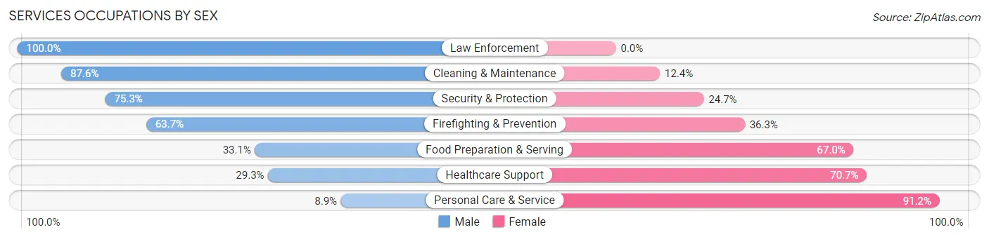 Services Occupations by Sex in Zip Code 65738