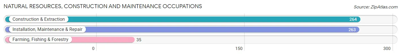 Natural Resources, Construction and Maintenance Occupations in Zip Code 66212