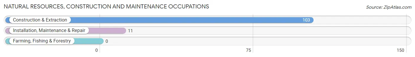 Natural Resources, Construction and Maintenance Occupations in Zip Code 66217