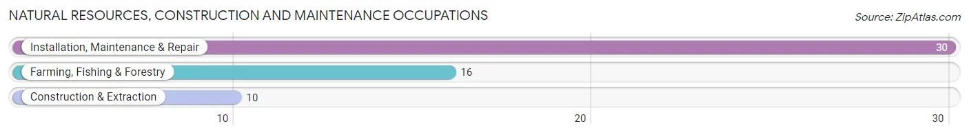 Natural Resources, Construction and Maintenance Occupations in Zip Code 66854