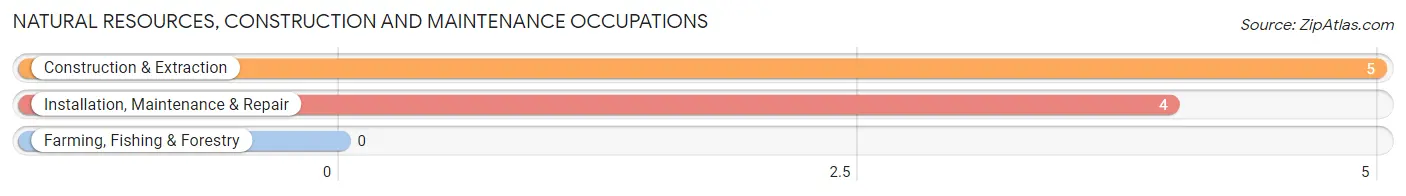 Natural Resources, Construction and Maintenance Occupations in Zip Code 66941