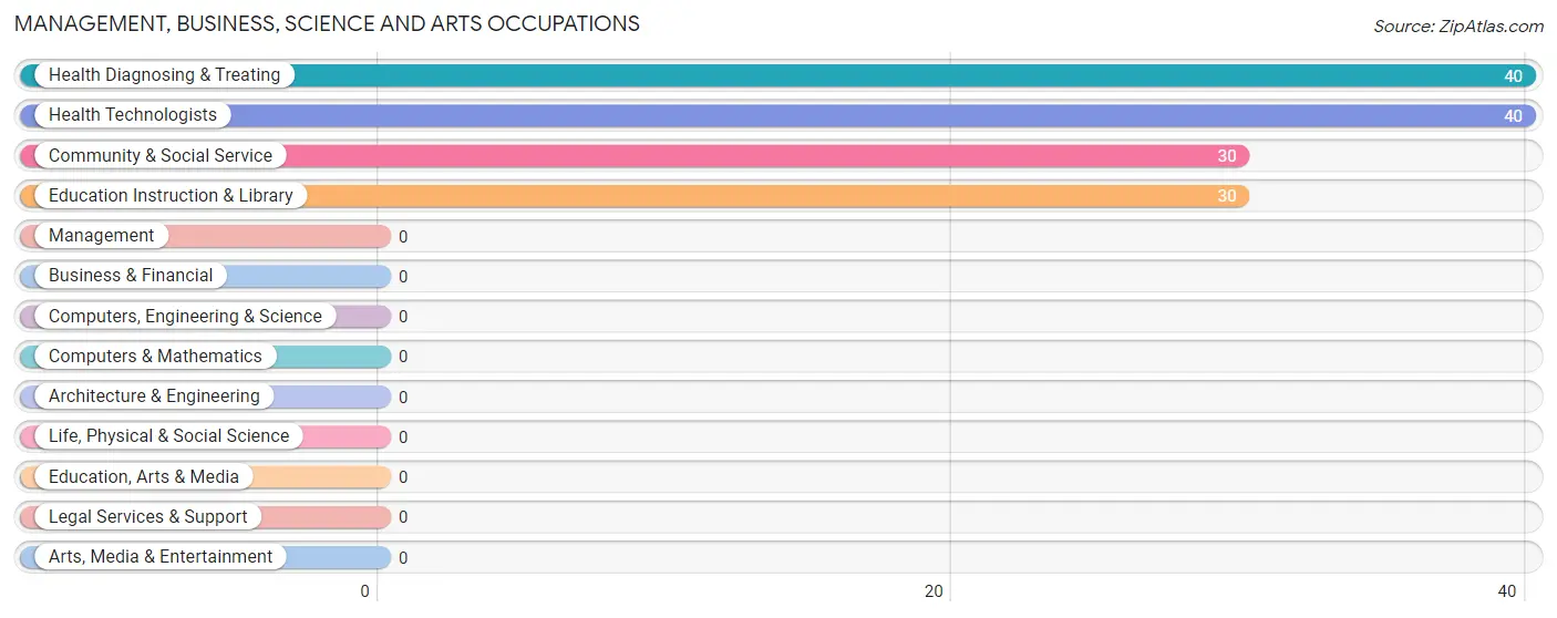 Management, Business, Science and Arts Occupations in Zip Code 67106