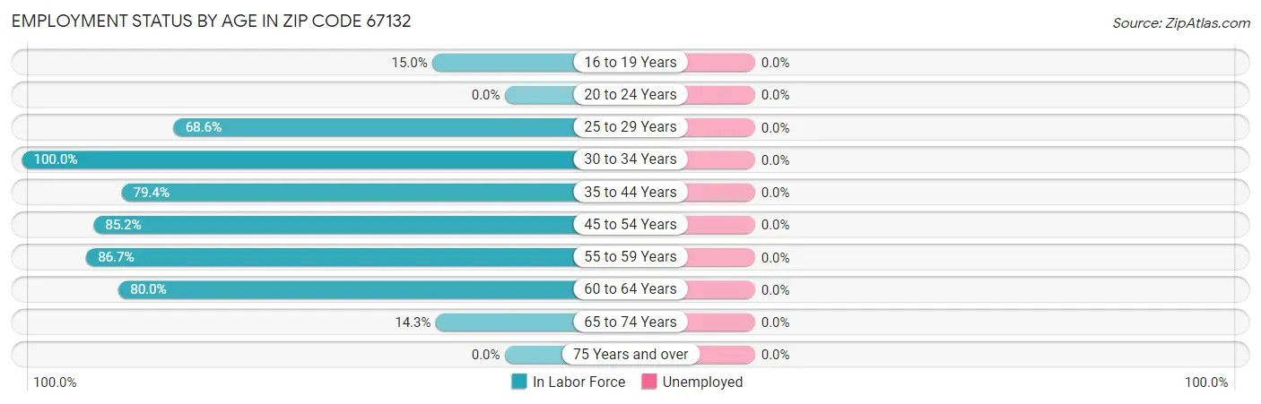 Employment Status by Age in Zip Code 67132