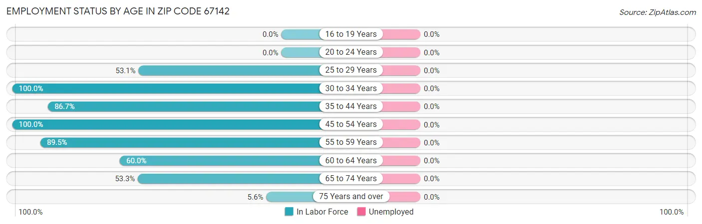 Employment Status by Age in Zip Code 67142