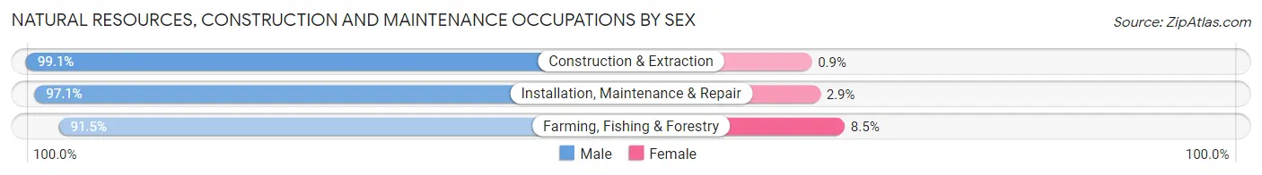 Natural Resources, Construction and Maintenance Occupations by Sex in Zip Code 67530