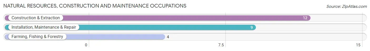 Natural Resources, Construction and Maintenance Occupations in Zip Code 67640