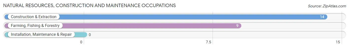 Natural Resources, Construction and Maintenance Occupations in Zip Code 67653