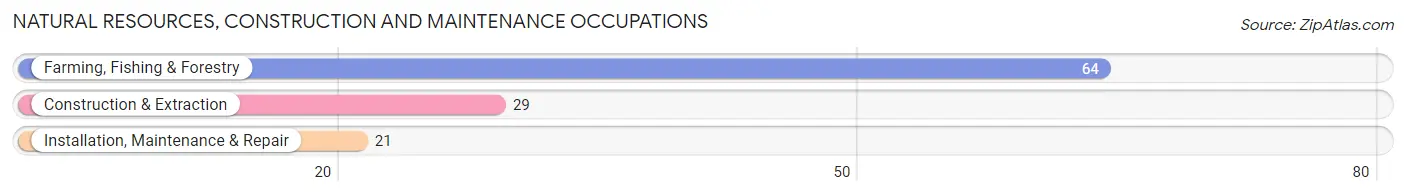 Natural Resources, Construction and Maintenance Occupations in Zip Code 67837