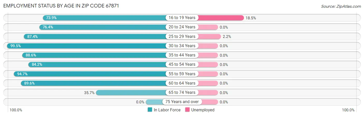 Employment Status by Age in Zip Code 67871