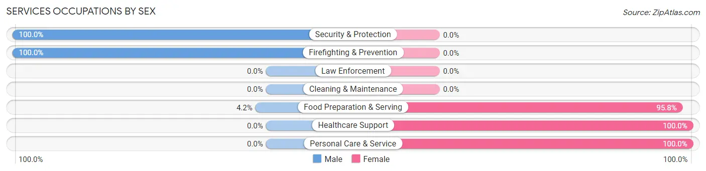 Services Occupations by Sex in Zip Code 68070