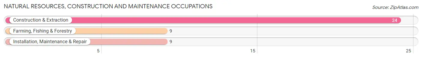 Natural Resources, Construction and Maintenance Occupations in Zip Code 68947