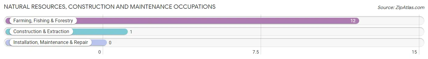 Natural Resources, Construction and Maintenance Occupations in Zip Code 69030