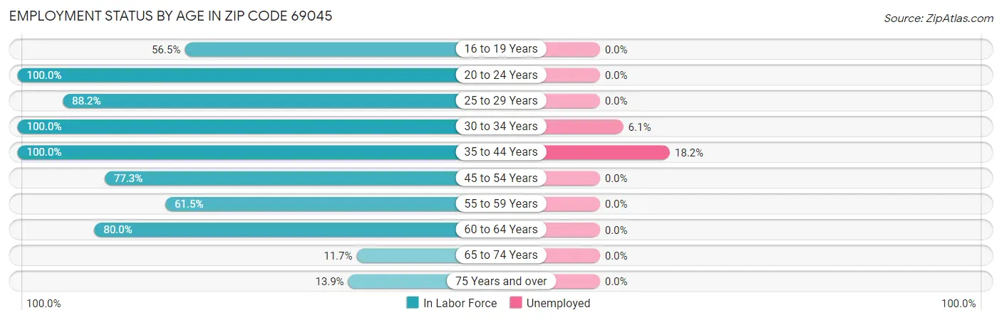 Employment Status by Age in Zip Code 69045